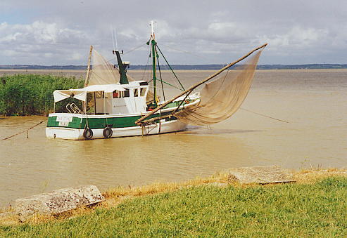 Gironde-M�ndung in den Atlantischen Ozean