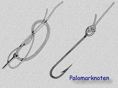 Palomarknoten