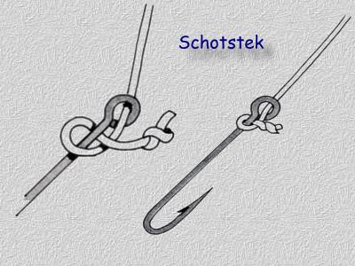 Schotstek